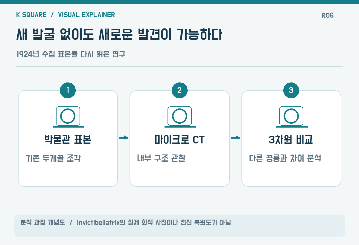 새 발굴 없이도 새로운 발견이 가능하다 — 분석 과정 개념도 · Invictibellatrix의 실제 화석 사진이나 전신 복원도가 아님 / KSquare USA 편집부 제작. 자료: https://www.livescience.com/animals/dinosaurs/fossil-of-unconquered-female-warrior-dinosaur-with-long-claws-found-in-uk-museum-drawer-after-100-years
