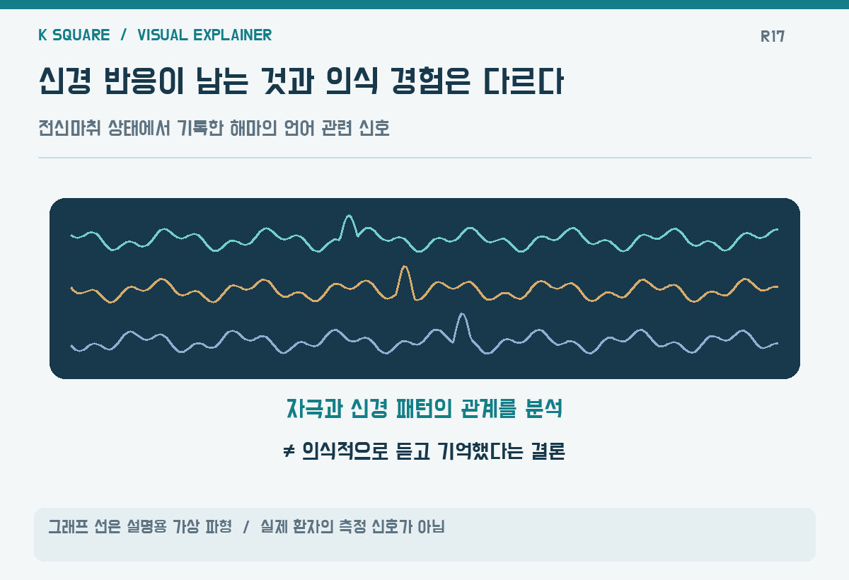 신경 반응이 남는 것과 의식 경험은 다르다 — 그래프 선은 설명용 가상 파형 · 실제 환자의 측정 신호가 아님 / KSquare USA 편집부 제작. 자료: https://www.sciencedaily.com/releases/2026/10/261015003440.htm